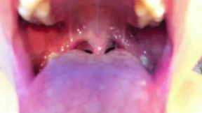 David Laid Private Show