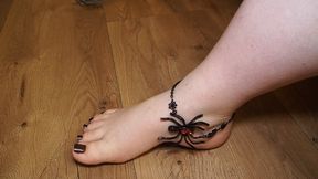 BBW feet worship #13