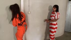 Female Inmate Escape From Prison Van