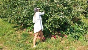 Walking naked in a orchard and pick some apples!