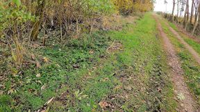 We Can Your Breasts Over There at the Fence