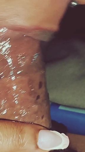 The Throat Chronicles Vol 1