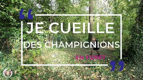 les defis d aurbeaureal : je pars a la chasse aux champignons, j en ai trouve ...