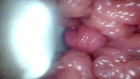 Endoscope Camera Records My Wife's G Spot. Educational Video Close up