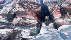 Tramps get wrecked outdoors &mdash;  roughing it with raw passion on a feral delight