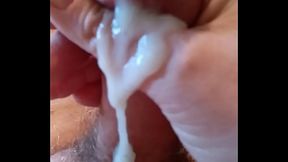 VID 20180124 pajilla matutina