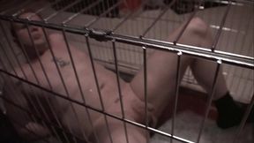 slaves get humilited with spit
