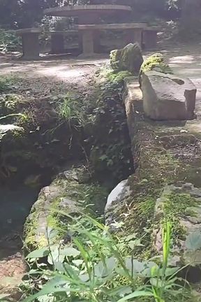 I Love Getting Fucked Outdoors