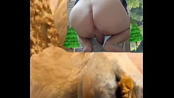 Zea812 - update #54 - 1000047284 - Apr 26, 2025