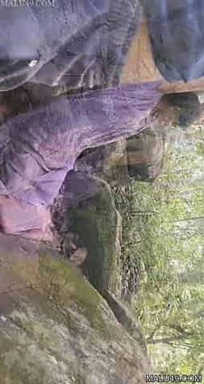 Telugu super viral video outdoor