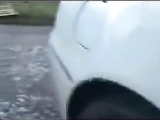 Amateur aged goes dogging with anal