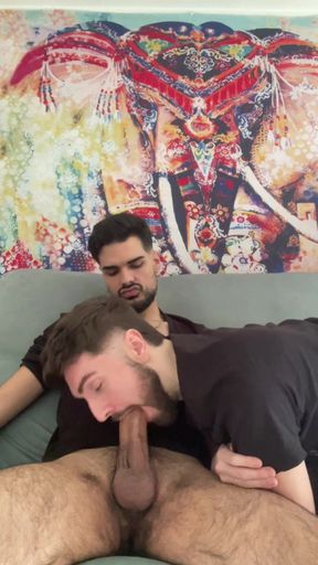 big cock blowjob