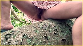 Wife climbs trees with no panties on