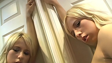 Barbara Summer And Brooke Banner Rub Their Pussies Together To Cum