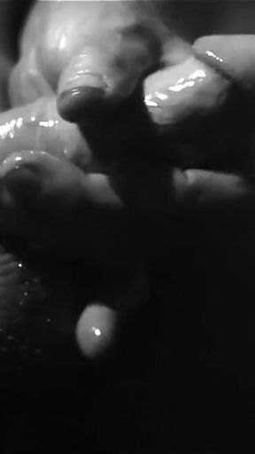 Close Oily Cock Play