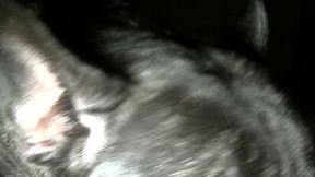 salope style minet se fait doser par un mec masque car hetero avec une grsose...