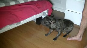 salope style minet se fait doser par un mec masque car hetero avec une grsose...