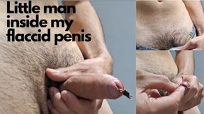 Little man inside my flaccid penis