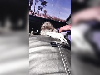 Suck the head of that weenie