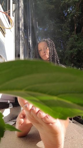 Soles and sunshine