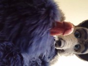 Furry Pawing Over You