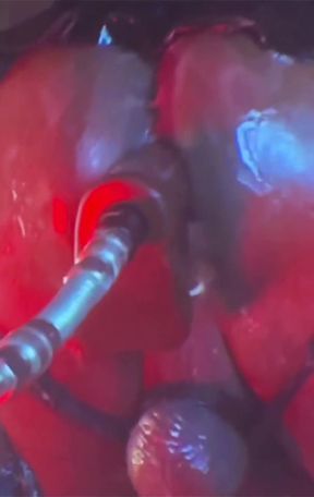 Intense Verbal Play Ahead...