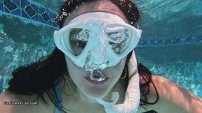 Raven Snorkels in the Pool 02 4K (3840x2160)
