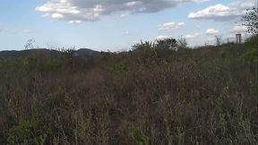 Sem ningu&eacute_m - onde onde os viados acasalam