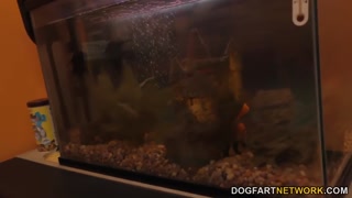 Alexa Grace takes BBC at Cuckold Sessions