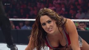 Nikki Bella VS Brie Bella