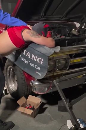 Workshop pup, let me screw you!