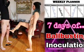 7 Days of Ballbusting