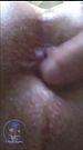 PMV - Ass Hole Rub Wink Smack Shorties L