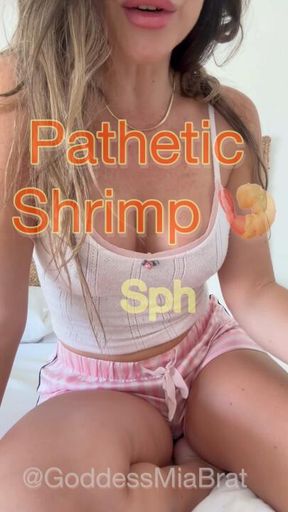 Pathetic Shrimp
