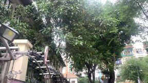 French lust in Saigon