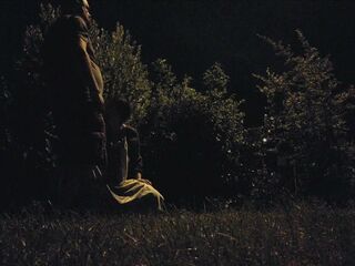 Night life of piss slut in public park