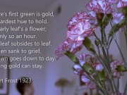 Asian porn couple Tyler Wu and Dane Jaxson in bareback love