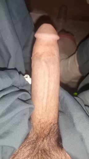 I am the owner of a big cock and my penis is very big and strong and I want to be a slave to the shemales and divorcees and widows and single women.