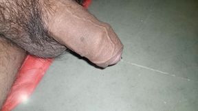 Land Speaks Too Much but Listens to Him Only in This