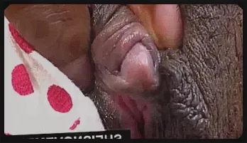 Intense Anal Pounding: Busty Ebony Sheisnovember Hardcore Scene