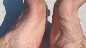 Pretty feet in the sun