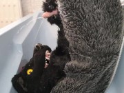 Murrsuiter pisses on himself and inside his maw for a good drink then cum inside