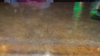 Part 1– Innocent Wife Ordered to Wear Vibrator and Anal Plug in Public—CumPlayWithUs2