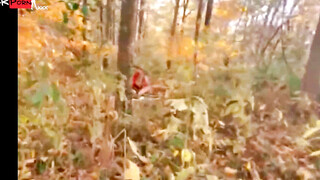 Reunions in the Heart Secret Woods Encounter