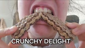 Close Up Chewing Sounds With My Mouth Open While You Watch My Teeth Crunching Every Bite