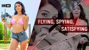 Flying, Spying, Satisfying