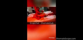 Top Shemale Compilation Amateur 24