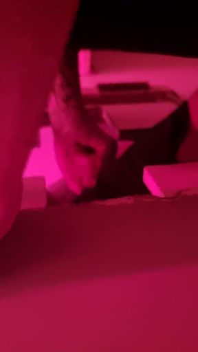 Another Gloryhole Stranger for Wife's Tight Pussy