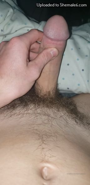 Hairy shemale dick