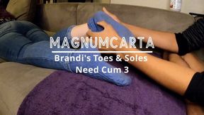 Brandi's Toes and Soles Need Cum 3